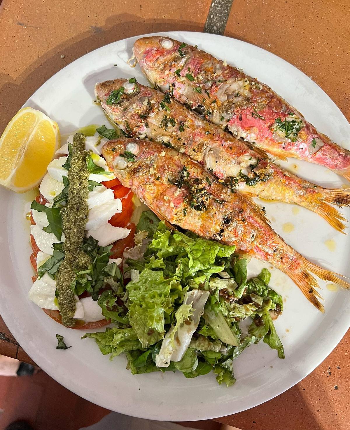 Poisson grillé, mozzarella, pesto et salade